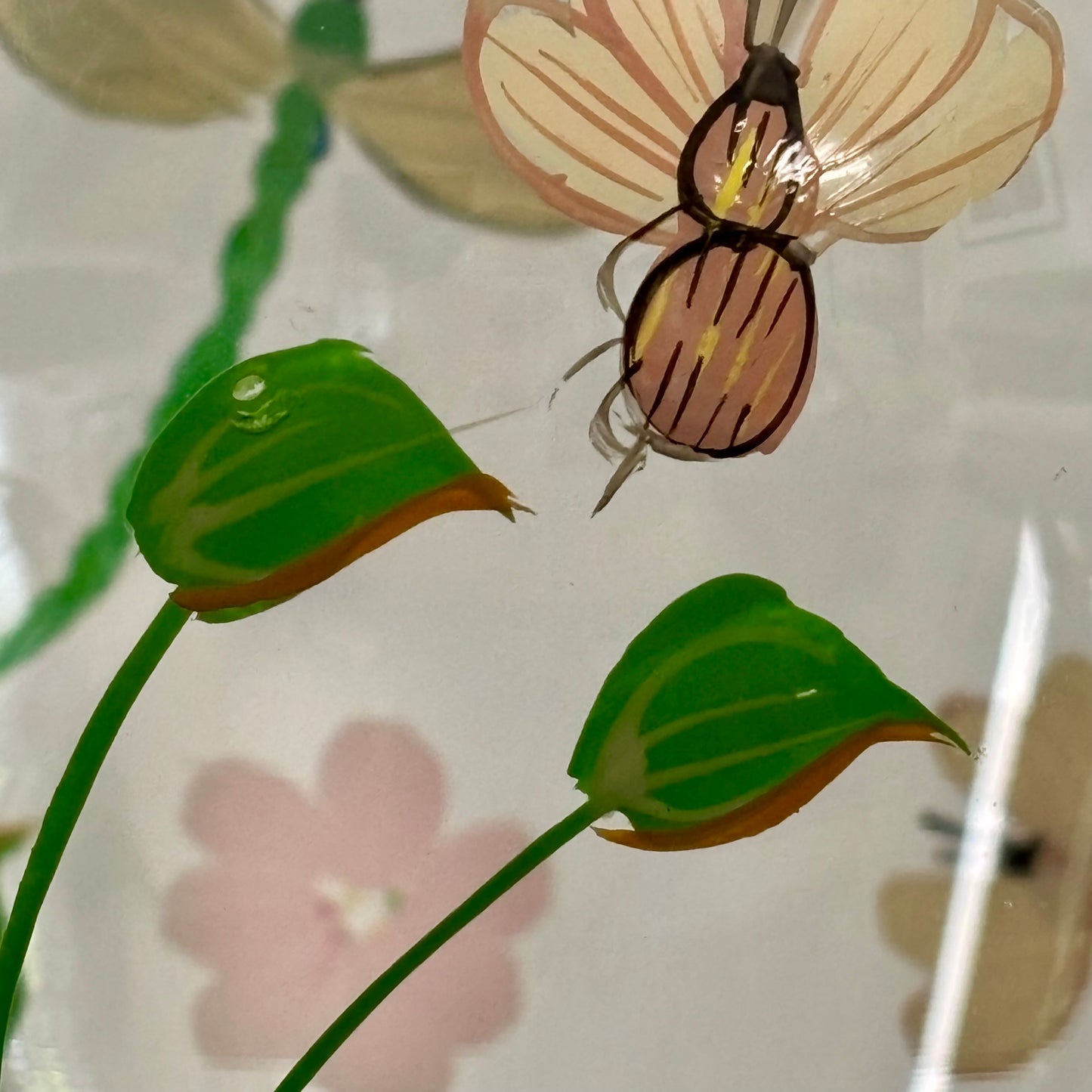 Lenox Butterfly Meadow Handpainted Glass Vase ⋆˙⟡    With Box