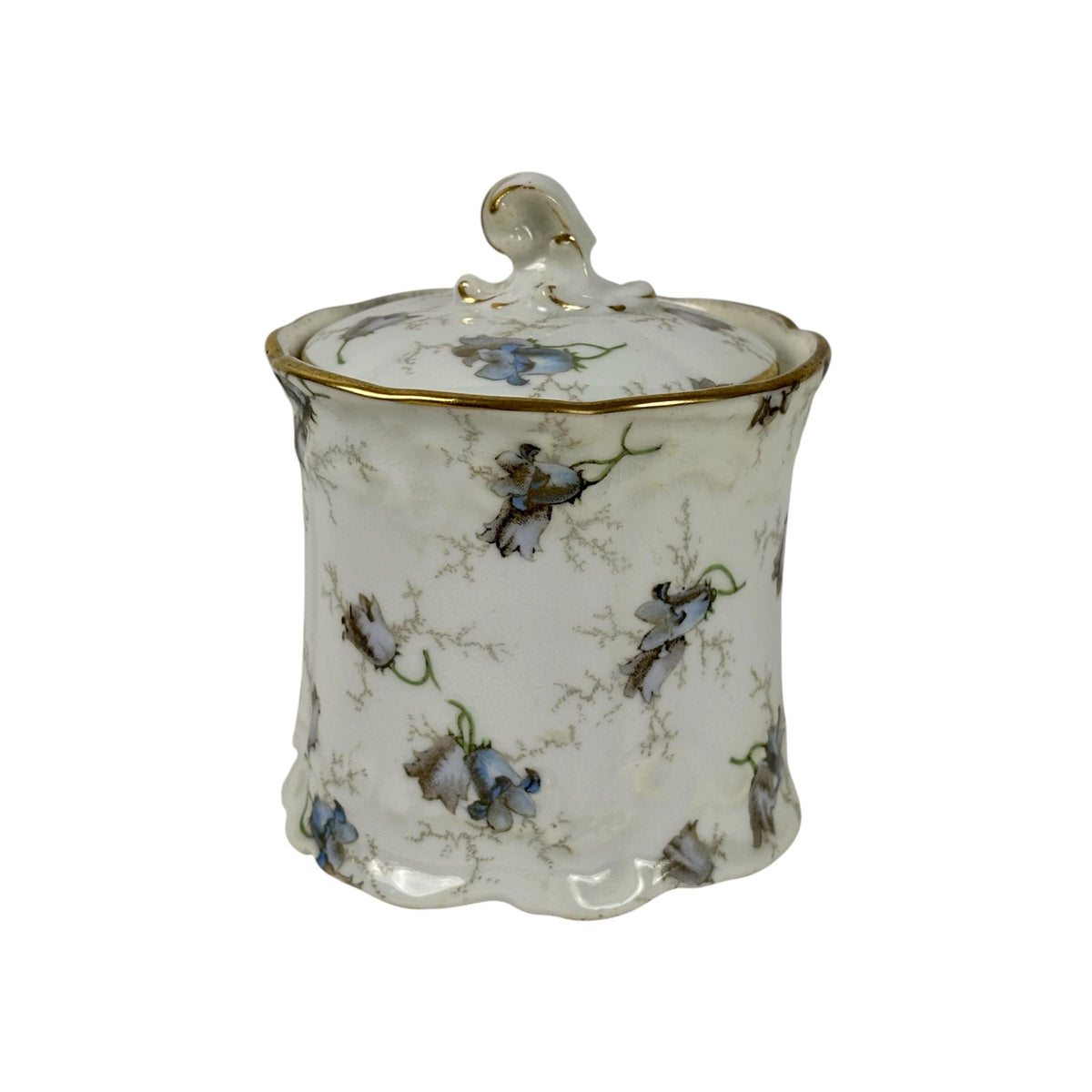 Antique Brown-Westhead, Moore & Co. Cauldon Porcelain Jar |⋆˙⟡| Blue Floral Lidded Vanity Jar